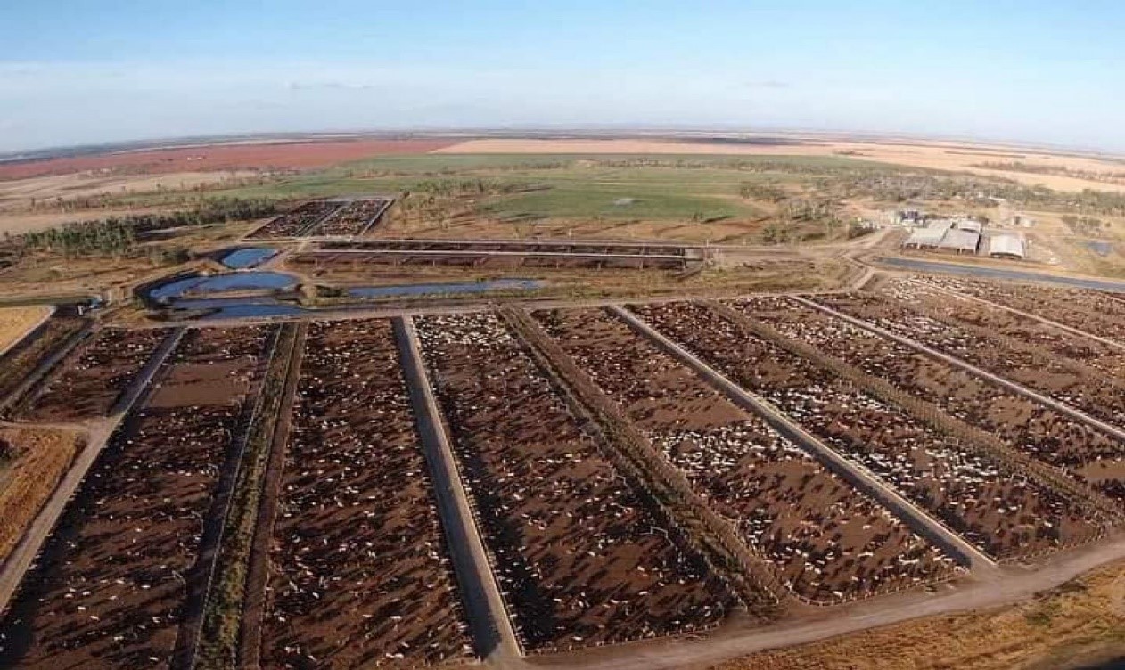 feedlots-knowledgebase-farm-transparency-project-australian